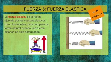 Fuerza Elástica I Youtube