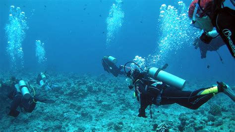 Cebu Diving Experience