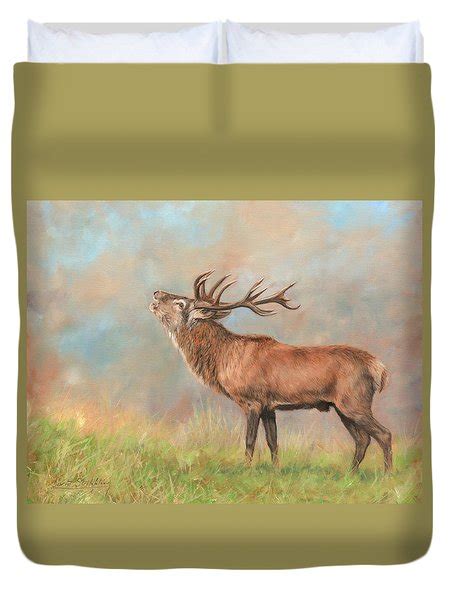 European Red Deer Painting By David Stribbling