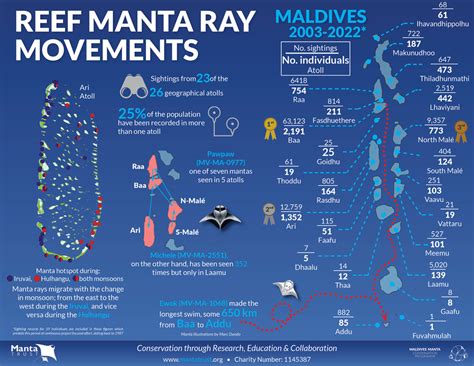 Maldives Manta Conservation Programme — Manta Trust
