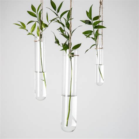 Hanging Glass Tube Vase Magnolia Chip And Joanna Gaines
