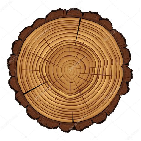 All posts by new users require mod approval in order to weed out spammers. Cross section of tree stump isolated on white background ...