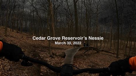 Nessiteras Rhombopteryx Cedar Grove Reservoir Mar 30 2022 Youtube