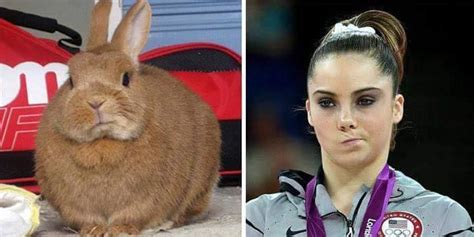 25 Celebrities Who Have Strikingly Similar Animal Doppelgängers