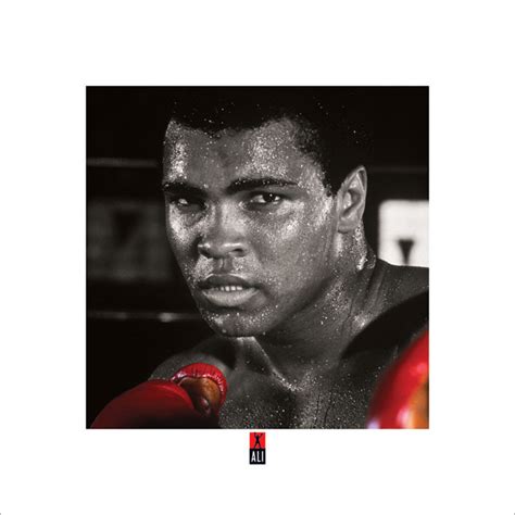 Poster Affisch Muhammad Ali Boxing S på EuroPosters se