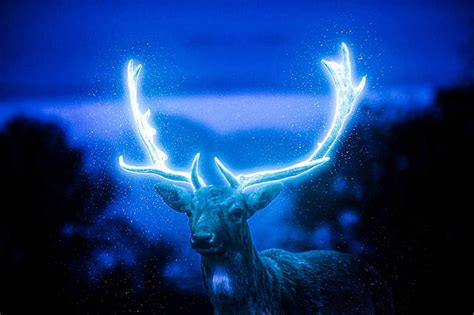 1920x1080px 1080p Free Download Deer Glow Neon Light Horn Glowing