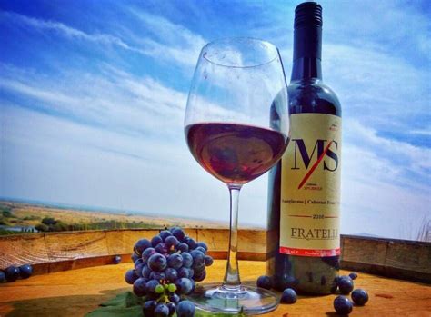 As they say, swirl & twirl your sip, smell it & then. 15 Best Wine Brands In India - Price & Details | magicpin blog