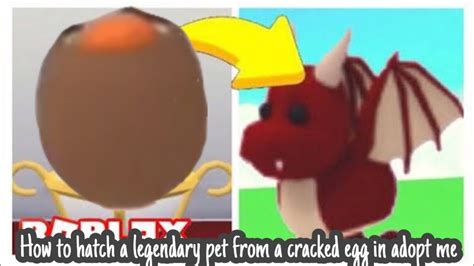 This egg takes four tasks to hatch. How to get a legendary pet in adopt me every time