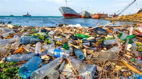 Plastics Cause A Threat To Human Health