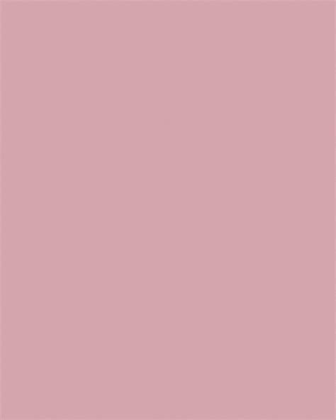 Studiofolks Rose Pink Solid Cotton Photography Background Cloth
