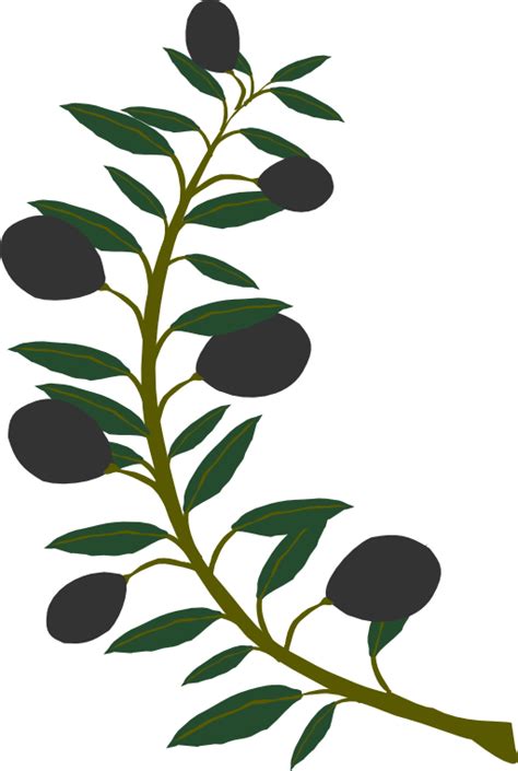 Olive Branch Black Olive Clipart Royalty Free Public Clipart Best