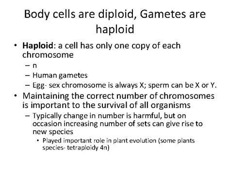 Chapter 6 Meiosis Mendel Lets Talk About Sex