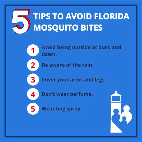 Florida Bug Bites 3 Local Insects And How To Deal With Them