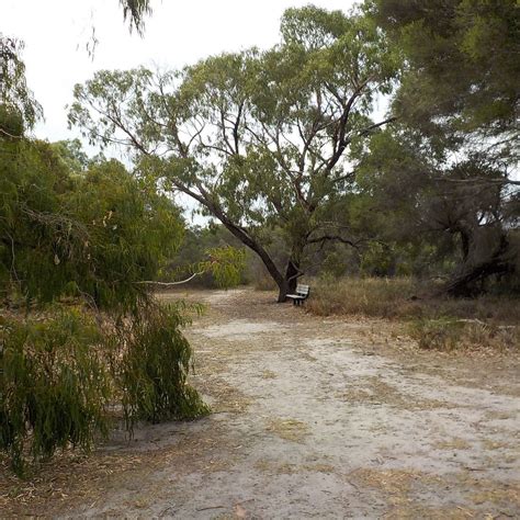 Belvedere Reserve (Seaford): Ce qu'il faut savoir pour votre visite 2022