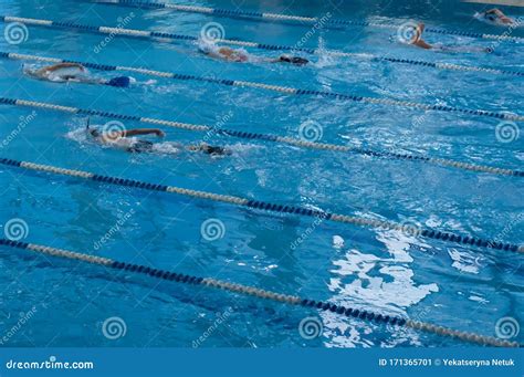 Competition Swimming Pool Crowded Of Swimmers Training Stock Image