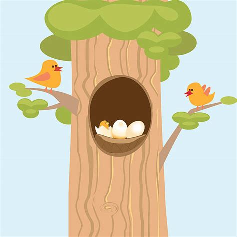 Tree Hole Illustrations Royalty Free Vector Graphics And Clip Art Istock