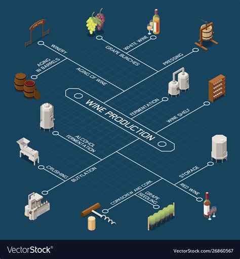 Wine Production Isometric Flowchart Royalty Free Vector