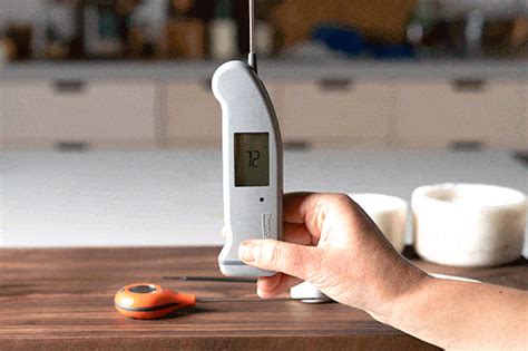 The Best Meat Thermometers For 2021 Reviews By Wirecutter