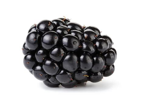 Blackberry Fruit Transparent Png Arts
