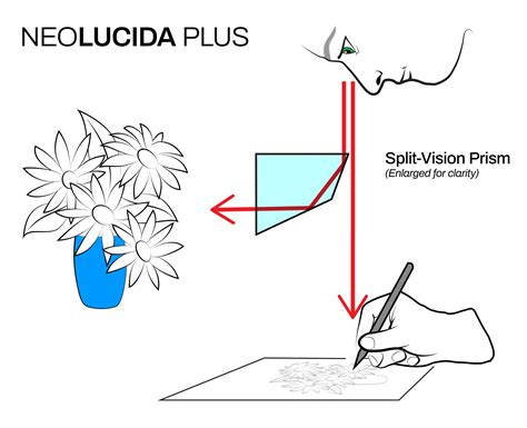 Neolucida Plus — Neolucida