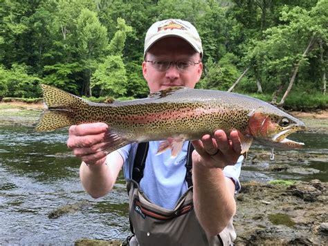 Clinch River Fly Fishing Guide Trout Zone Anglers