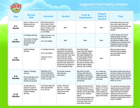 Download this attendance policy template in word, and quickly customize it to work for your business. Infant Feeding Schedule By Age | Templates at allbusinesstemplates.com