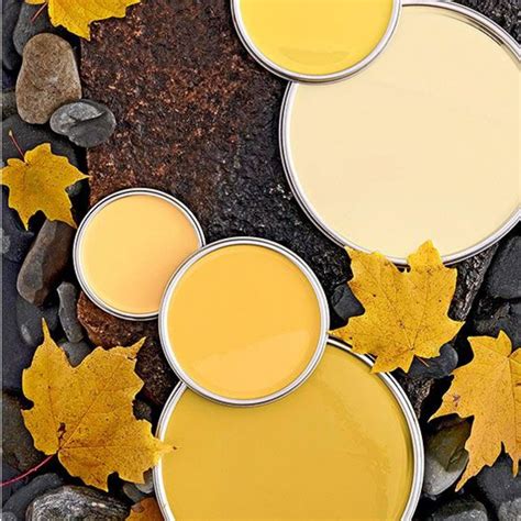 Using Yellow Paint Colors To Make Your Home Pop Paint Colors