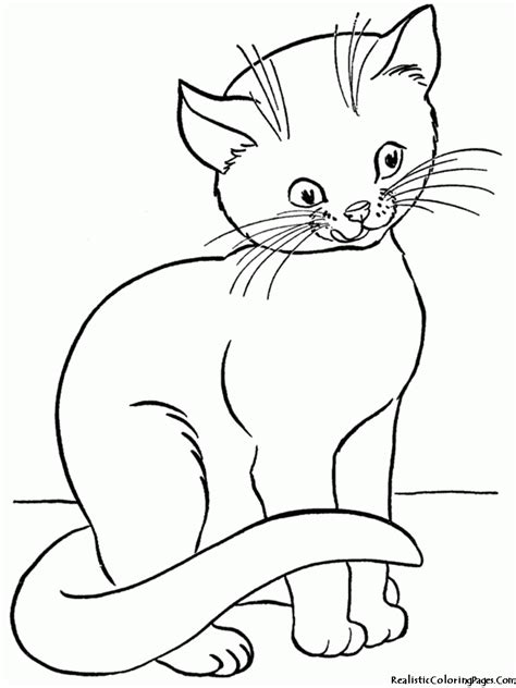 Cat coloring pages are fun to decorate, but they can also teach kids about cat breeds, including wild cats. Kitten Outline Coloring Page - Coloring Home