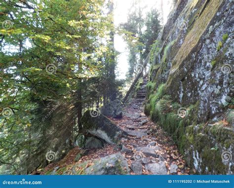 Rocky Path On A Hillside In The Forest Stock Photo Image Of Mountain