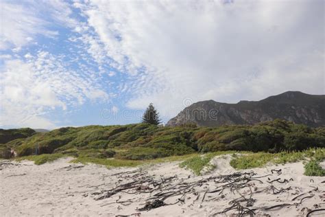 Grotto Beach At Hermanus In South Africa Editorial Photography Image