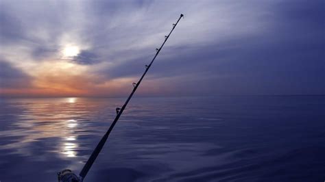 Our Top Night Fishing Tips And Tricks Miami Fishing Charters