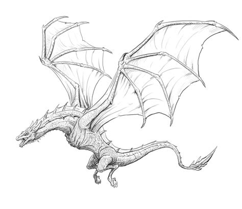 How To Draw A Dragon Step By Step And Easy To Follow Tutorial Cool