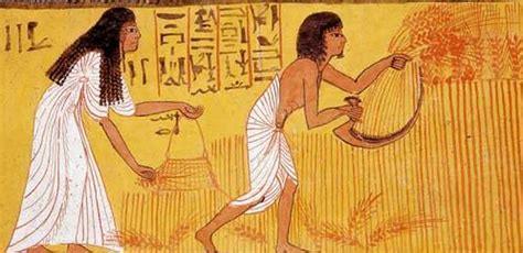 how ancient egypt did amazingly accurate pregnancy tests 3 500 years ago by esh lessons