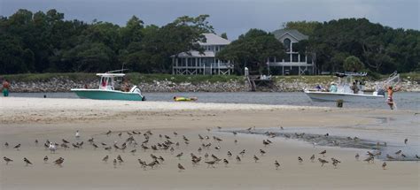Seeking A Better Approach To Erosion On Ocean Isle Beach Audubon
