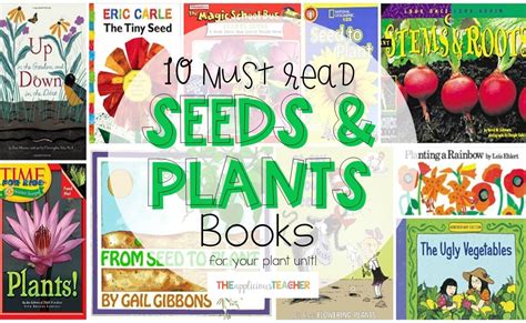 10 Must Read Seeds And Plants Books For Your Classrom