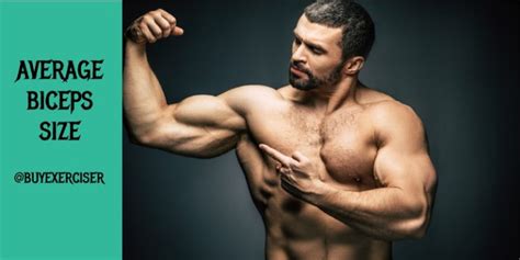 What Is The Average Bicep Size For Men And Women