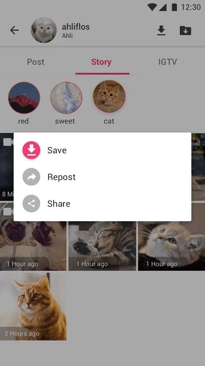Best Instagram Stories Viewer And Saver Apps And Websites