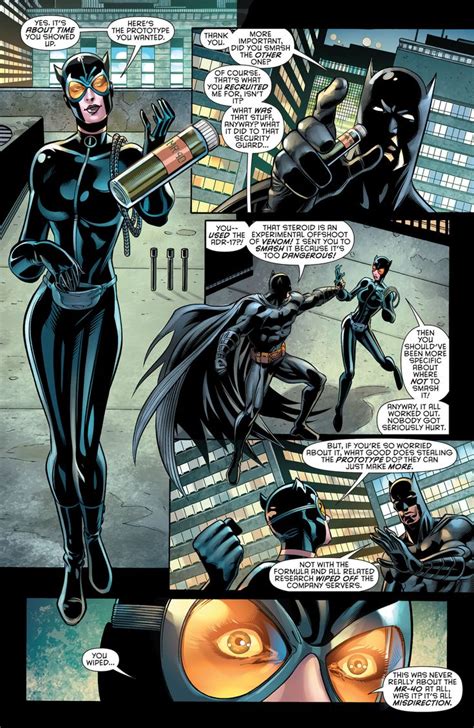 Pin By Selina Kyle On Dc Comic Couples Catwoman Comic Batman And