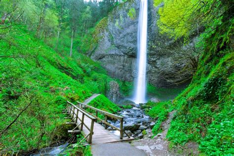 Latourell Falls Hiking Trail Footbridge Oregon Us Stock Image Image