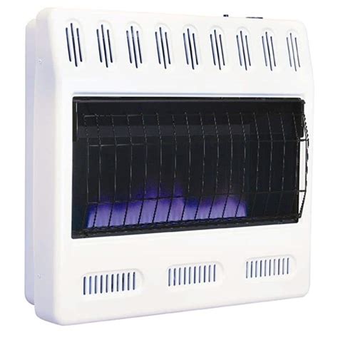 Williams 30000 Btu Blue Flame Vent Free Natural Gas Wall Heater With
