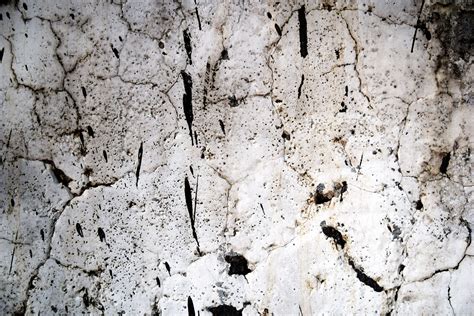 Dirty Wall Free Stock Photo Public Domain Pictures