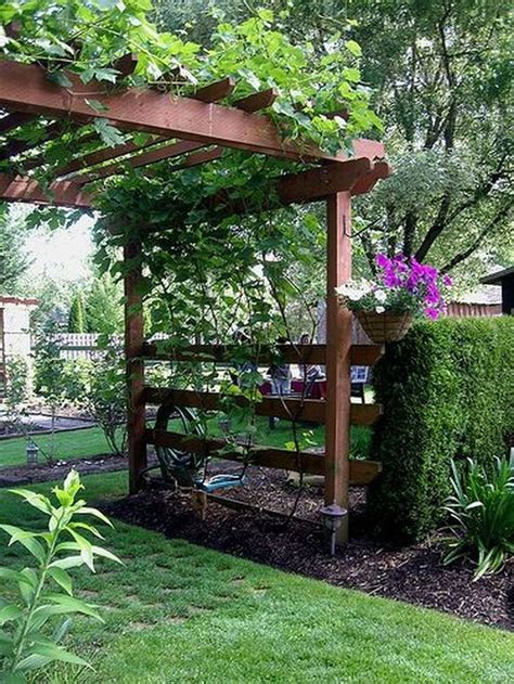 40 Inspiring Grape Vine Ideas To Beautify Your Garden Cottage Garden