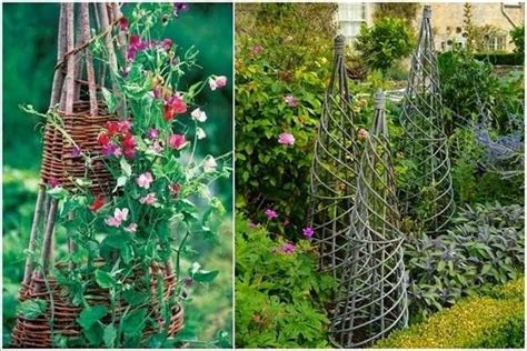 24 Best Upcycled Trellis Ideas For Garden Cool Trellis Designs For