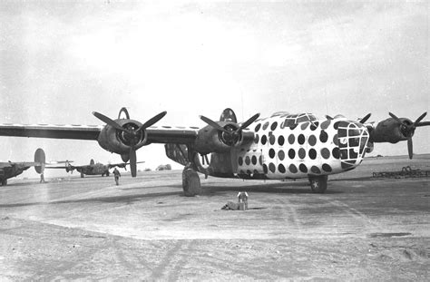 Consolidated B 24d 30 Co Liberator 42 40127 First Sergeant Of The
