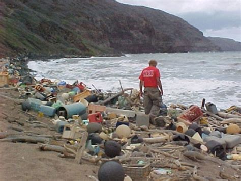 10 Facts About Marine Debris Less Known Facts