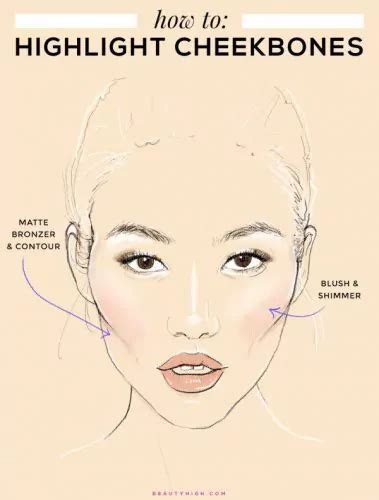 how to highlight cheekbones 40 infographics for contouring highlights