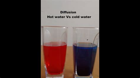 All the great songs and lyrics from the red hot and blue album on the web's largest and most authoritative lyrics resource. Diffusion hot vs cold water - YouTube