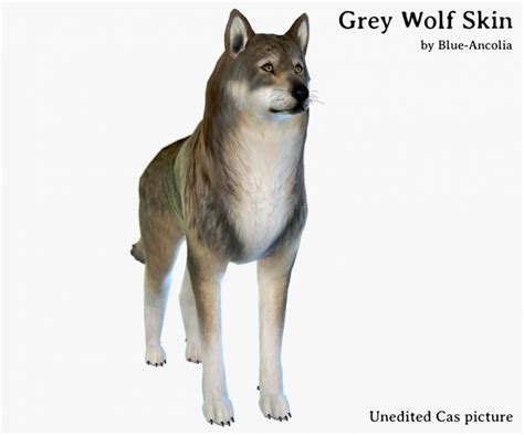 Nymeria High Content Wolfdog At Blue Ancolia Sims 4 Updates