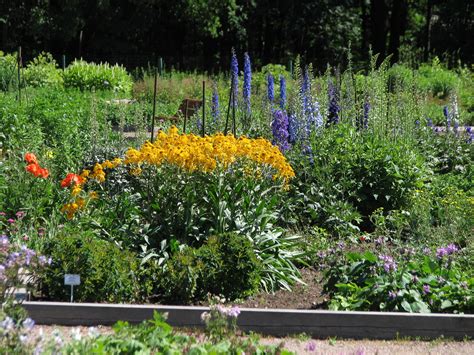 Jump to navigation jump to search. Perennials - Some Fun Facts! - Landscaping Services