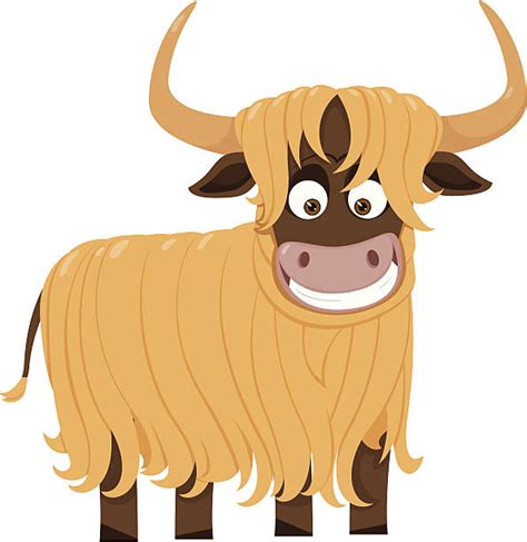 Yak Illustrations Royalty Free Vector Graphics And Clip Art